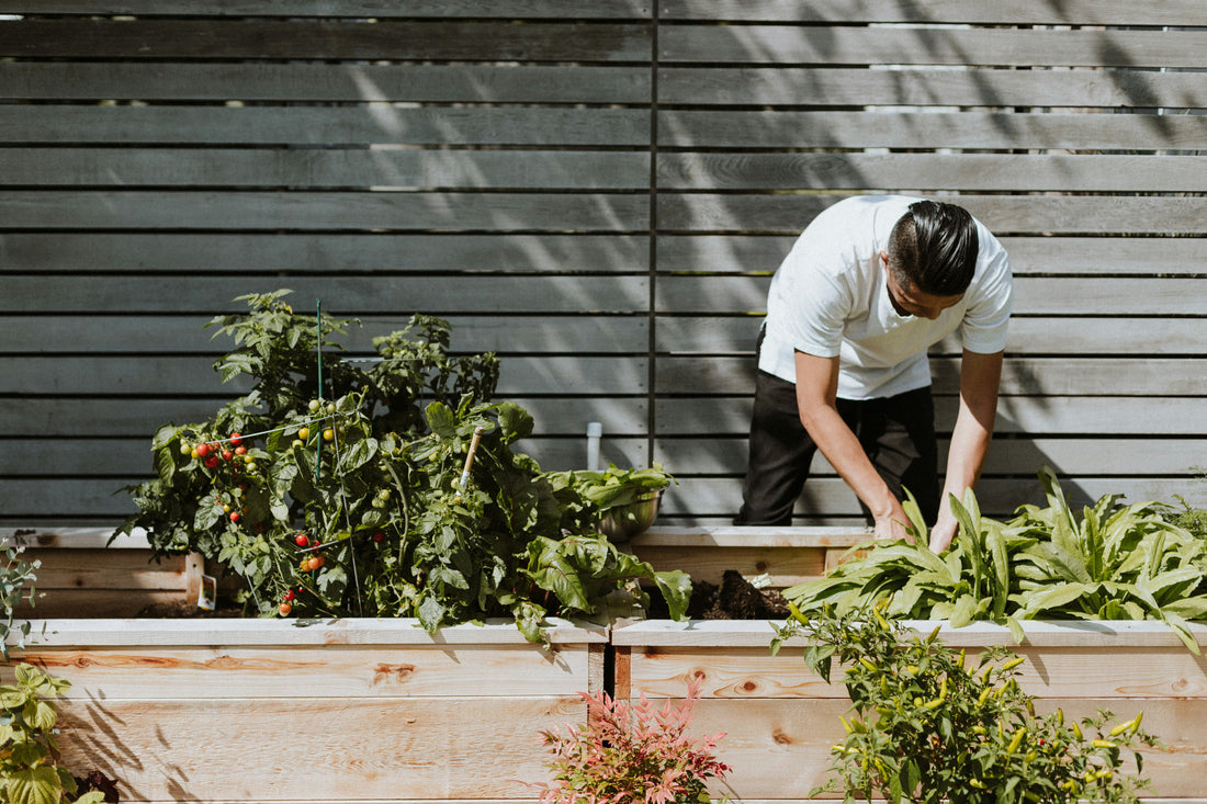 Le Wwoofing en Australie, c'est quoi ?